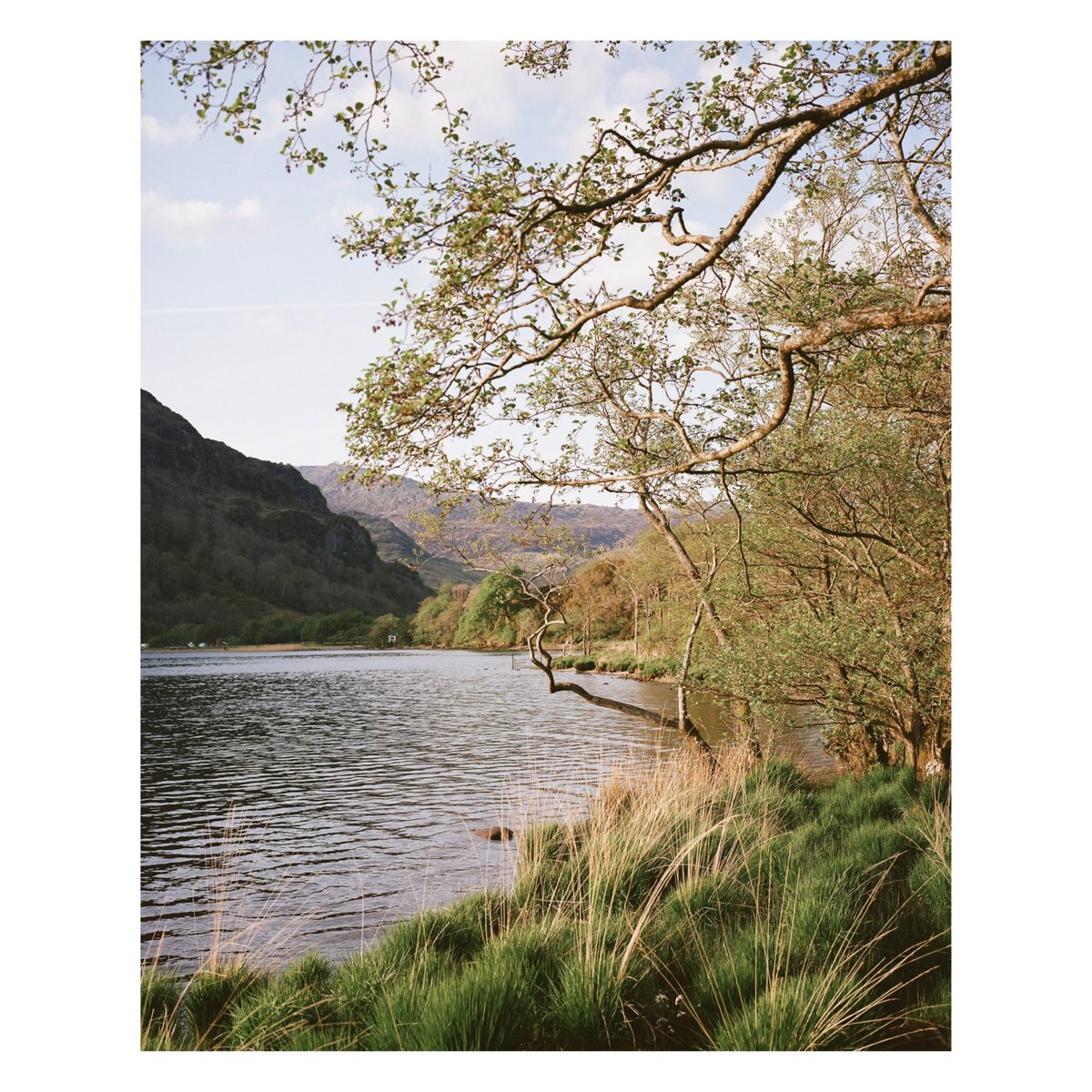 Recent views #KODAK #120film #mamiya7 #filmphotography #snowdonia
