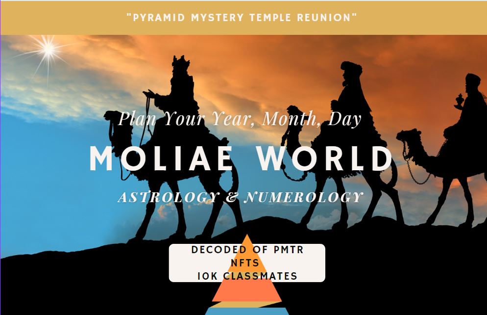 MOLIAE World tweet media