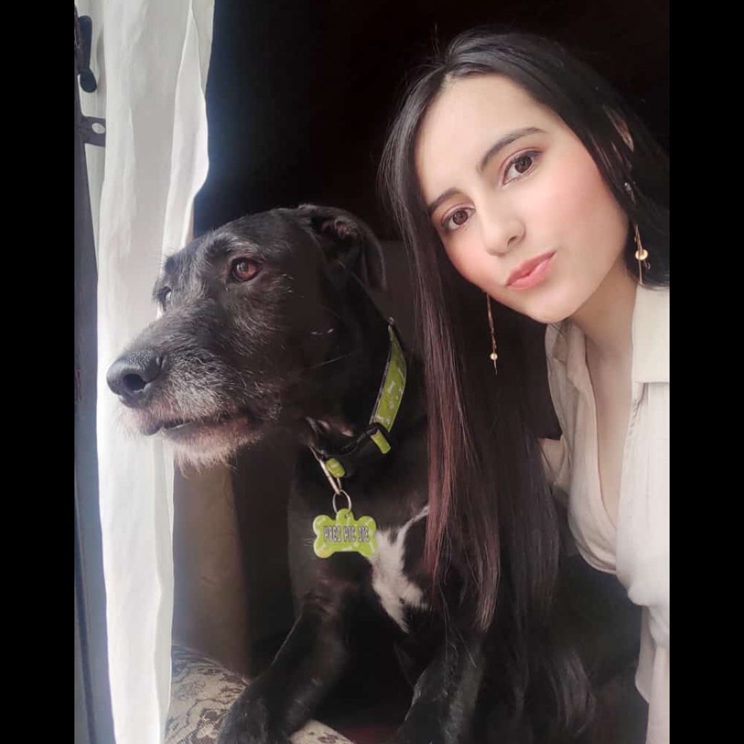 Garcia____C's tweet photo. Mi amigo fiel 🐕❣️ https://t.co/fSt46ccSY3