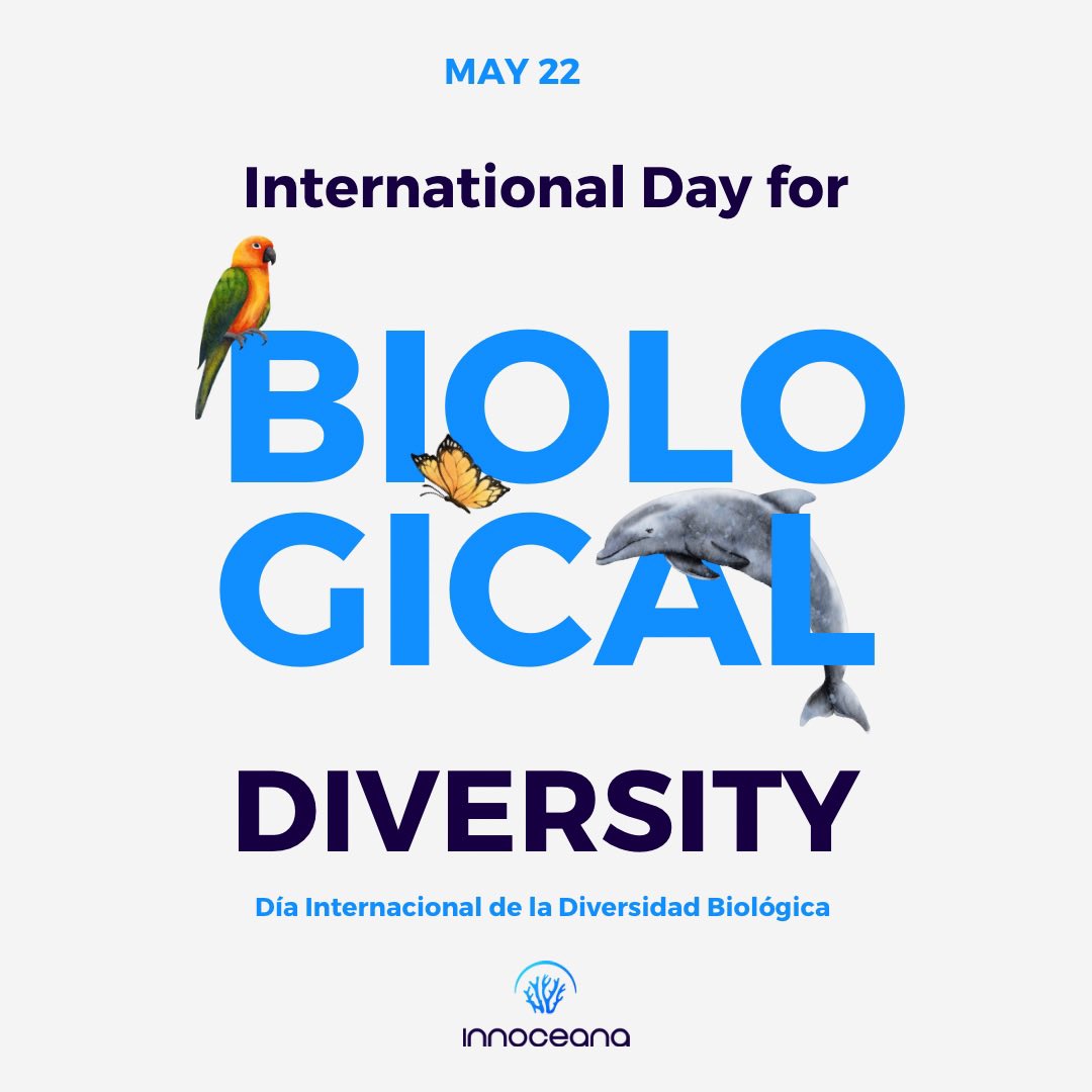 🩵🩵🩵#InternationalBiologicalDiversityDay #diainternacionaldelabiodiversidad