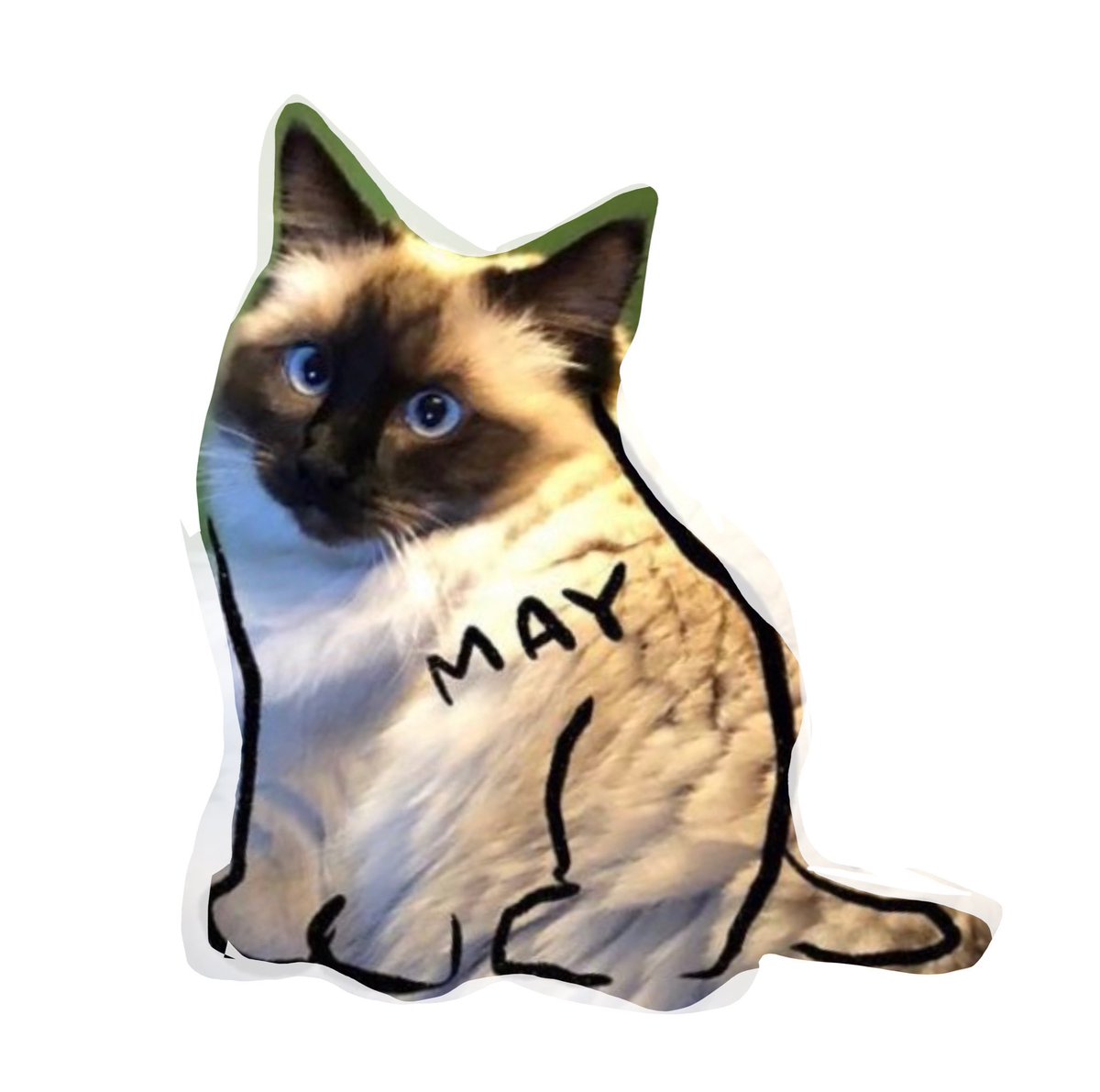 cats expand quickly but if you want to draw the kitten version of a cat just do an outline like this, keeping the head the same size (thread of examples)