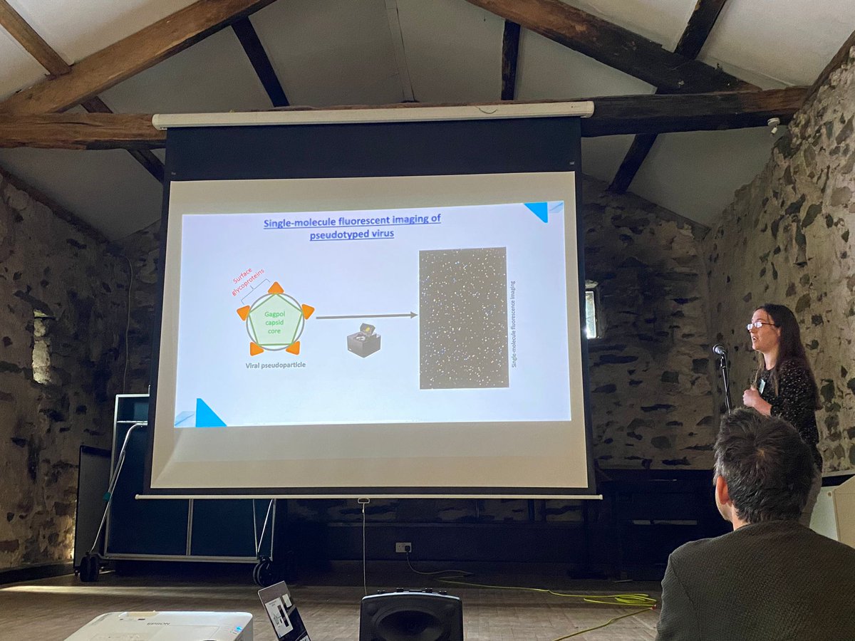 Charlotte Lewis tweet media