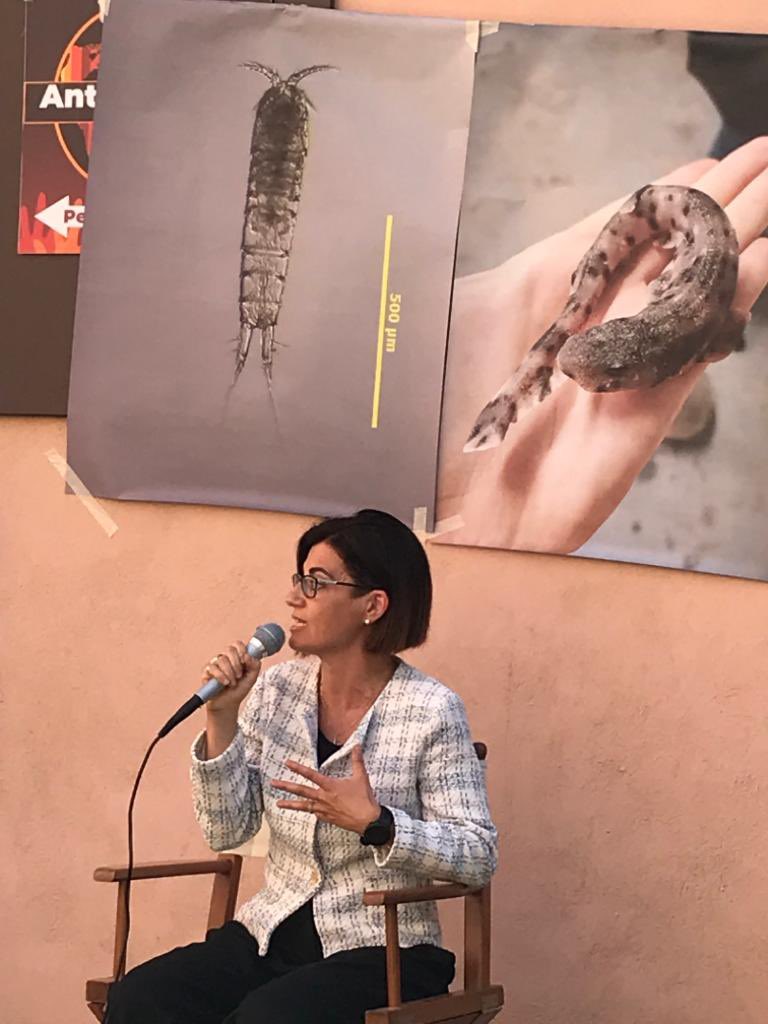 For the #InternationalBiodiversityDay, I talked about subterranean biodiversity and how we aim at protecting it working to our project  #biodiv_DarCo. With my favorite copepod species, at the #cnr event in Venice ❤️ #cnriret #Copepoda