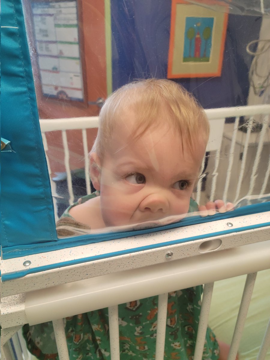 Blake Billmyre (@blake_billmyre) on Twitter photo Not on our KC bucket list but Rory insisted (bronchiolitis) on a return trip to <a href="/ChildrensMercy/">Children's Mercy</a> yesterday that prevented us from attending <a href="/ZandersLab/">SaraH Zanders 🎃💀</a> going away party. Discharged after an overnight stay and back to trying to eat everything. Not on our KC bucket list but Rory insisted (bronchiolitis) on a return trip to <a href="/ChildrensMercy/">Children's Mercy</a> yesterday that prevented us from attending <a href="/ZandersLab/">SaraH Zanders 🎃💀</a> going away party. Discharged after an overnight stay and back to trying to eat everything.