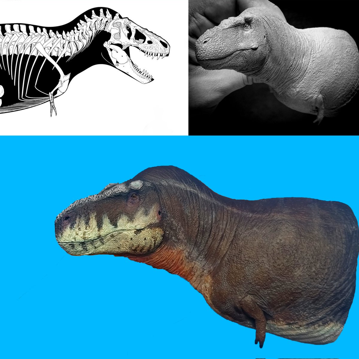 Proportions are based on @Sketchy_raptor skeletal of specimen AMNH 5027, color is based on Hank the Tyrannosaurus Rex from #prehistoricplanet
.
#Tyrannosaurusrex #tyrannosaurus #trex #tyrannosaur #tiranosaurio #zhuchengtyrannus #Tarbosaurus #Daspletosaurus #prehistoricplanet2