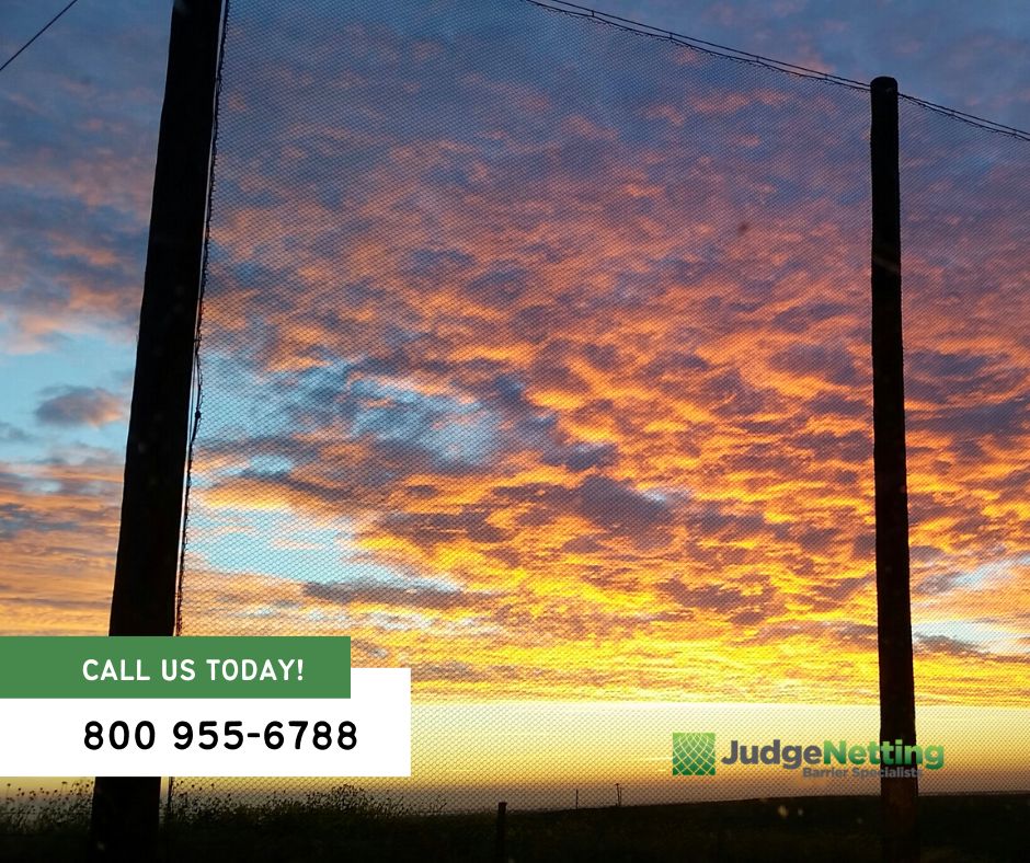 JudgeNetting1's tweet photo. The undisputed barrier and netting construction and maintenance contractor in the Western United States. Call us today at (800) 955-6788 to schedule a FREE consultation!

#JudgeNetting #golfnetting #sportsnetting #nettingsolution #barrierspecialists #nettingexperts https://t.co/ZktzKRv54A