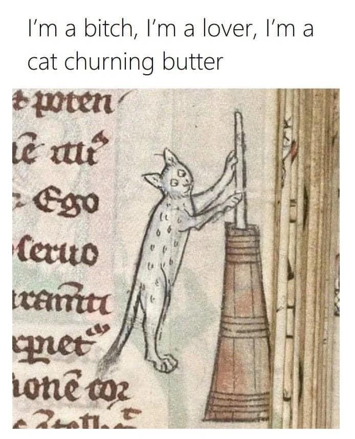 Mabherick's tweet photo. This immediately made me think of @david_jenkins__ https://t.co/dybqgPni9u