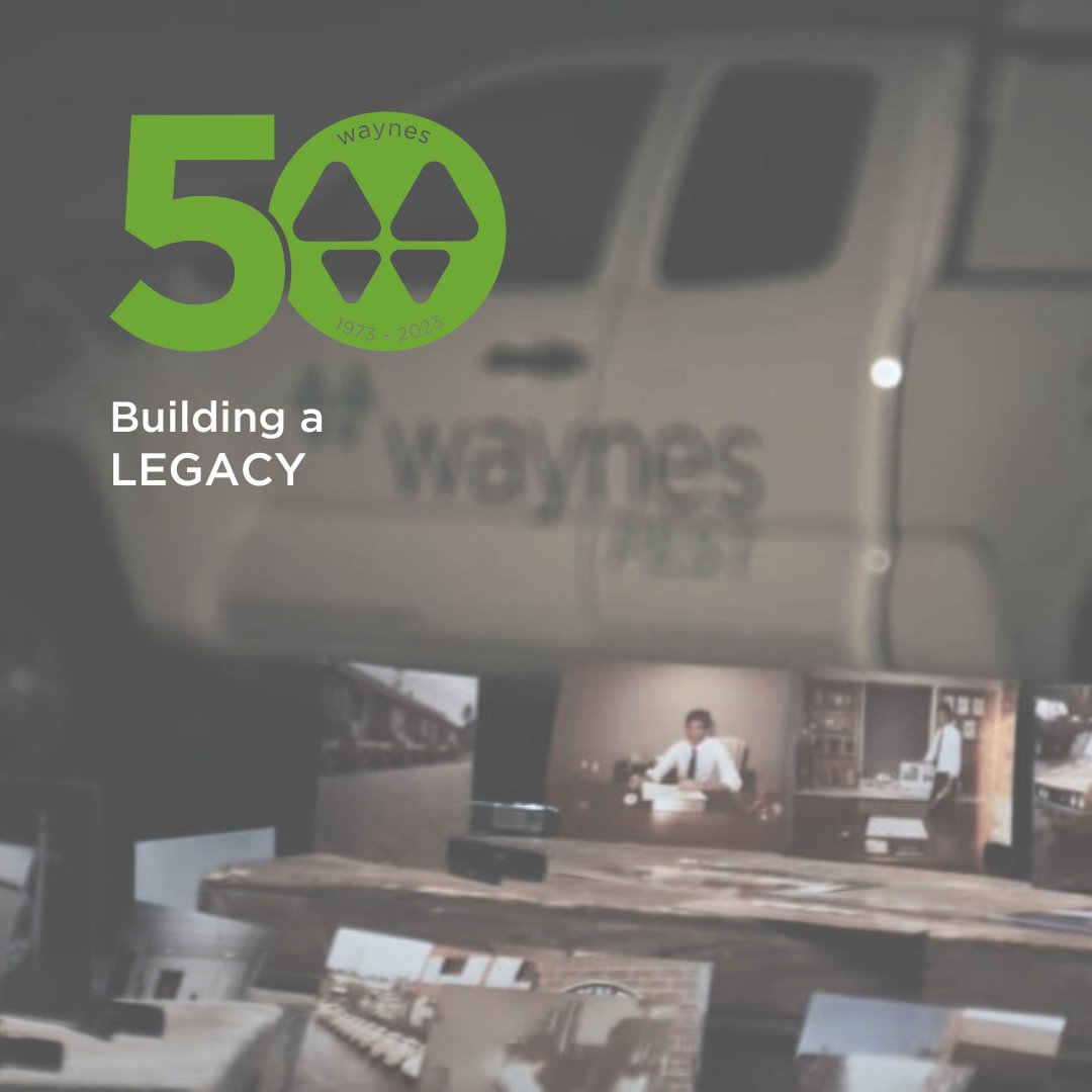 callwaynes's tweet photo. When you combine hard work, creativity, and an incredible team a big dream becomes a reality. Thank you for supporting us over the last 50 years. We would be honored to serve you in the next 50 years of Waynes! https://t.co/exmmYg0DGZ
#CallWaynes #50for50 #50Thanks https://t.co/kehMUI5ycZ