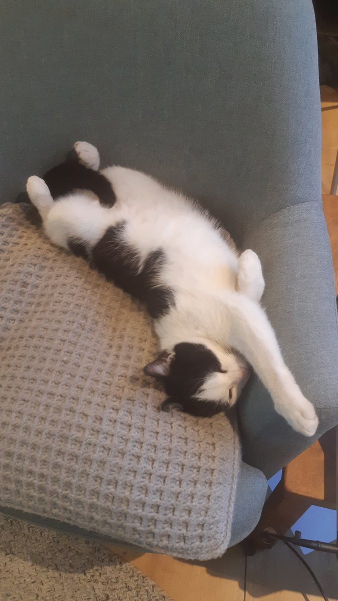 En hoe was jou maandag? 😅 #chillmodus #pfff