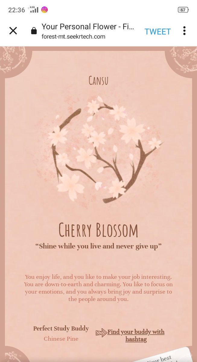 Cok guzel yaa yumusacik oldum💕💕💕