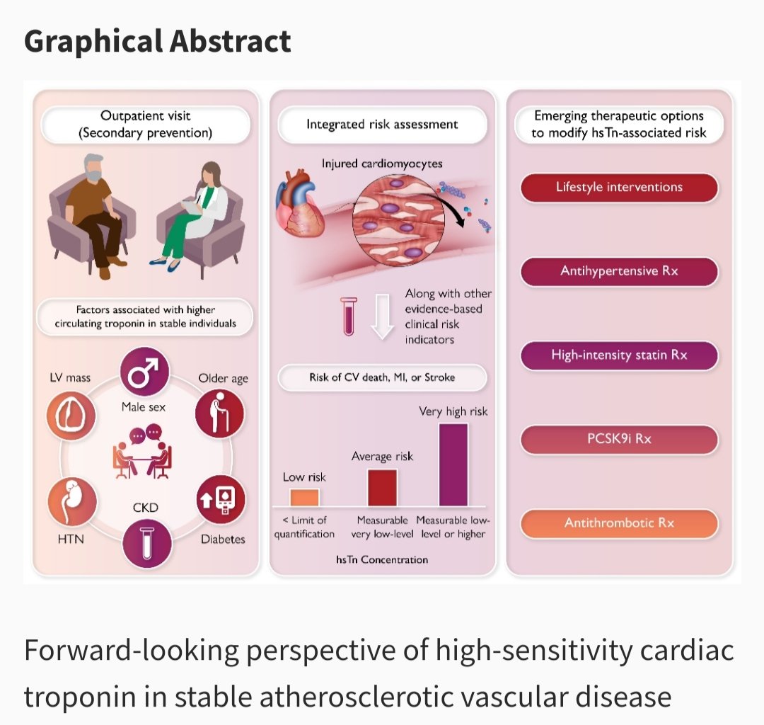 Prevention is the key to success🔝 Measurement of high-sensitive cardiac troponin in stable atherosclerotic vascular disease does help ✅ Just published article at #EHJACVC by Study group on Biomarkers doi.org/10.1093/ehjacc…