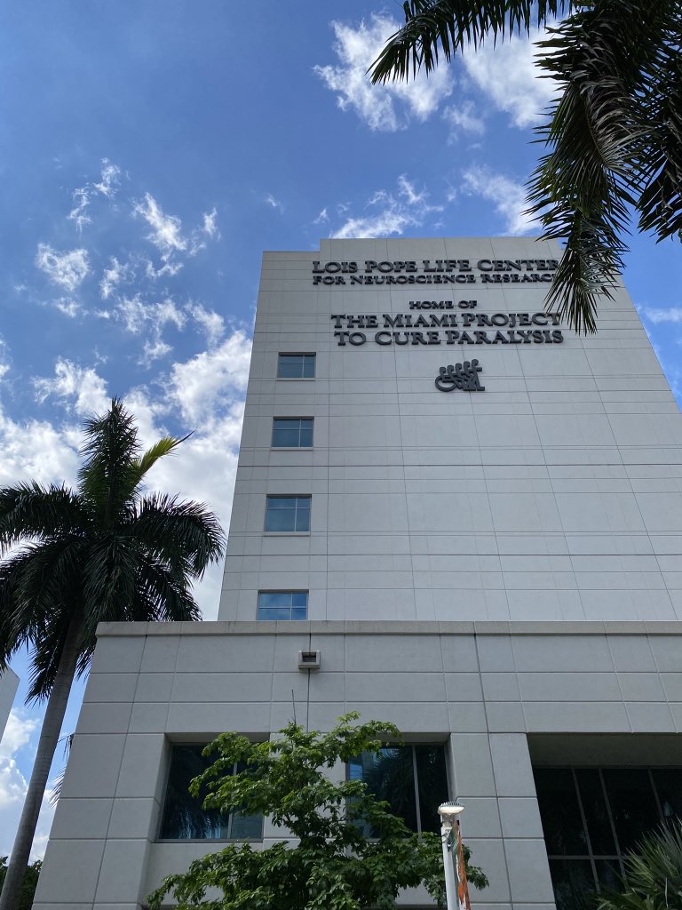 Antonella Mini tweet media