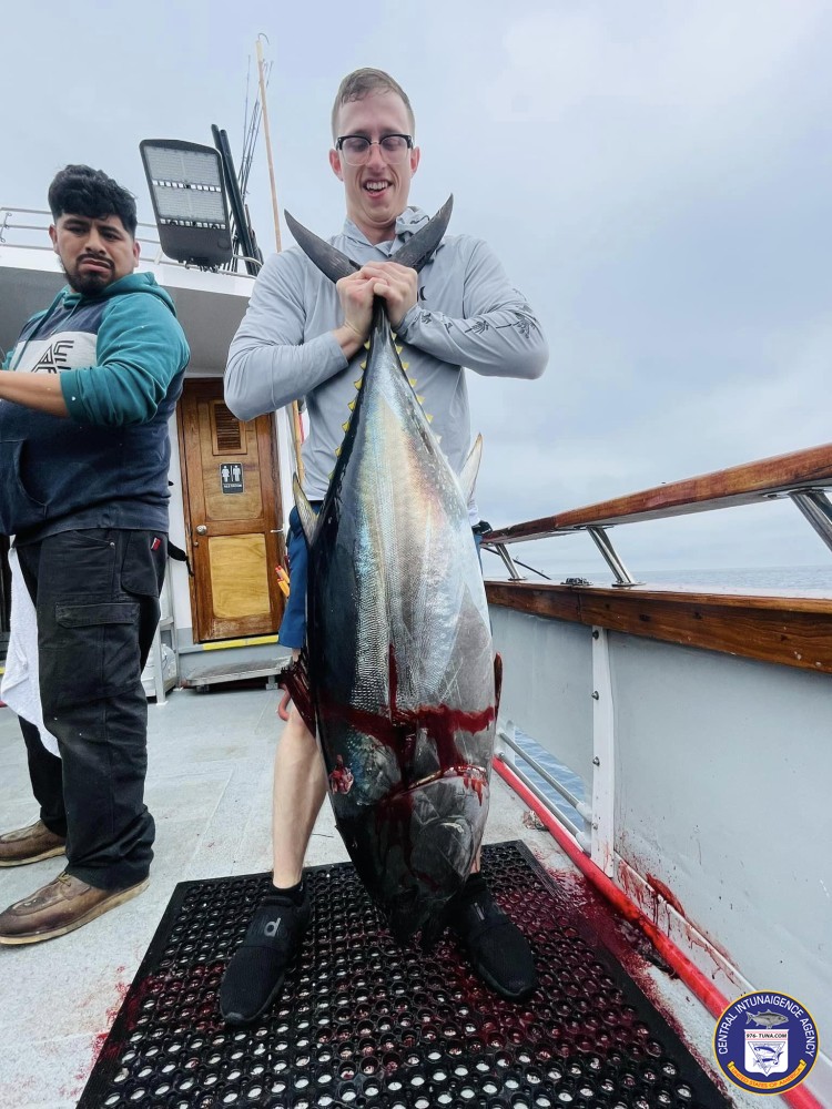 976tuna's tweet photo. Thunderbird Early Departure Tonight, 7PM https://t.co/L7rOLEcOZz #thunderbird #newportlanding #fish #fishing #fishingtrip #oceanfishing #socalfishing #fishingtrip #goodtimes #hottrip #livebait #saltlife #saltwater #tasty #thetugisthedrug #newport #newportbeach https://t.co/gLz6setTqN
