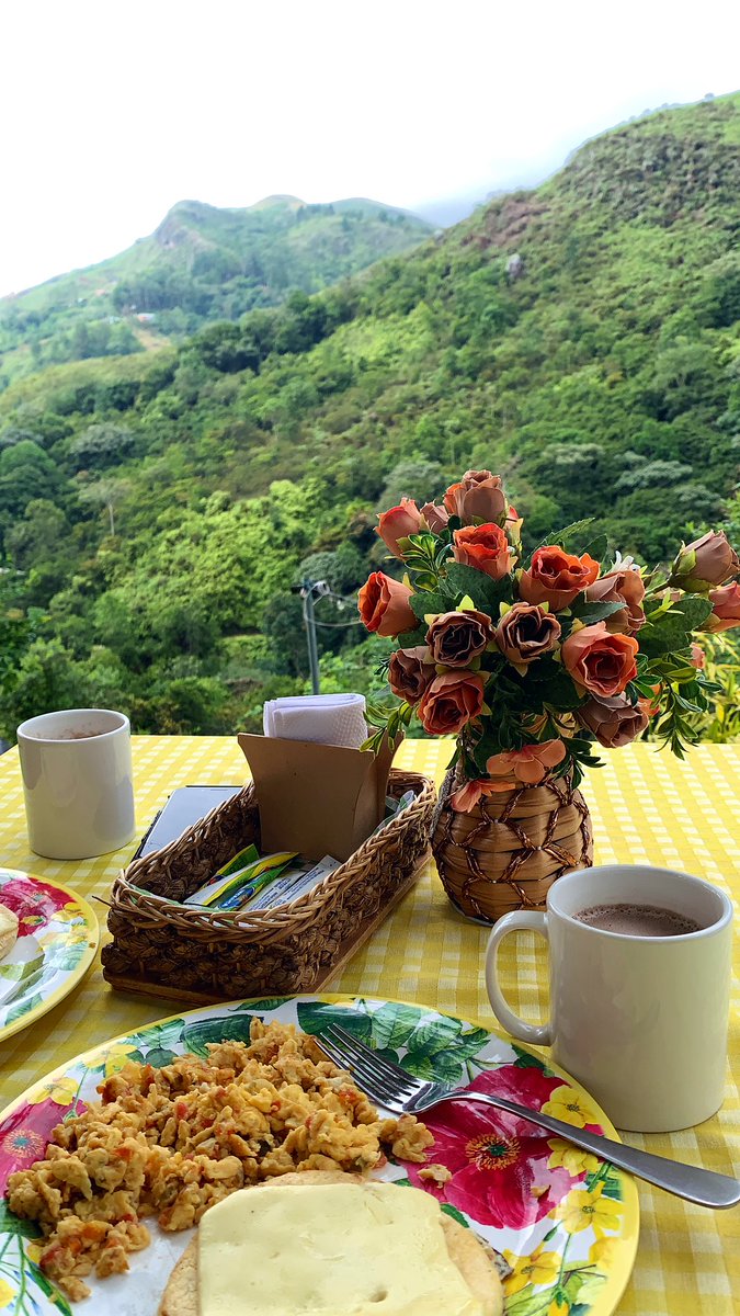 Paz ✨🌱