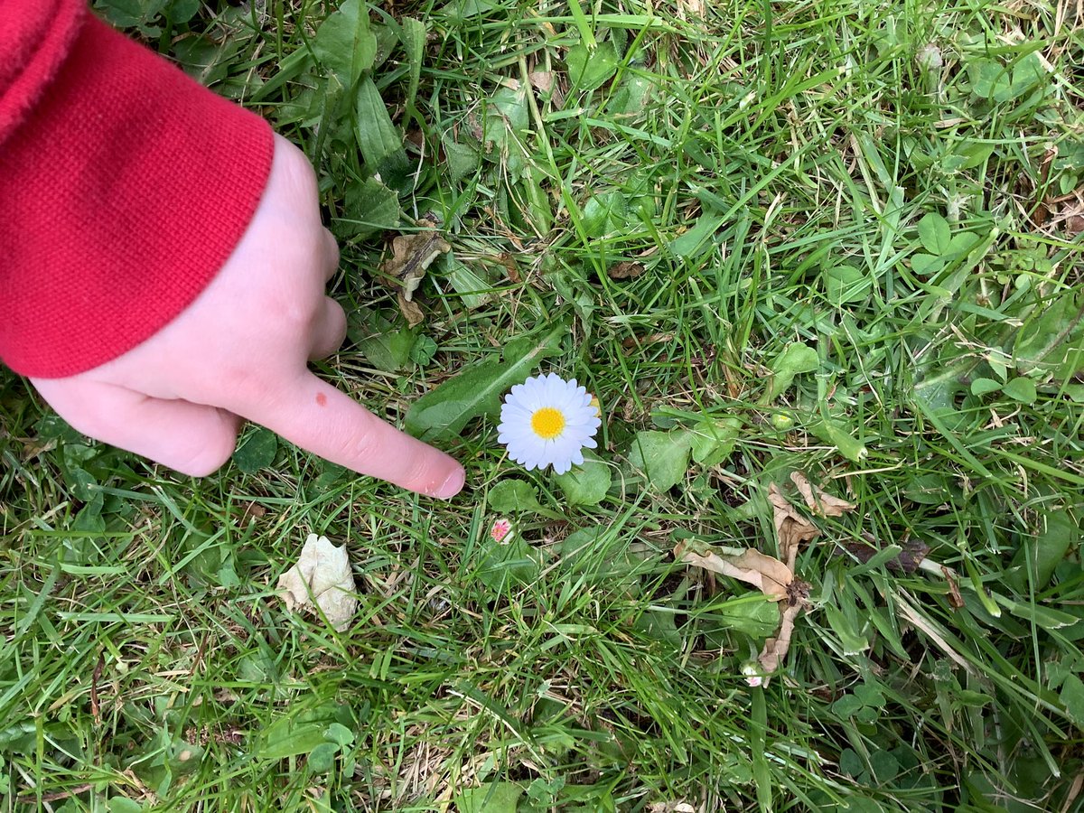 Barfordstpeters's tweet photo. A lovely refreshing awe and wonder walk this morning after reading Genesis 1 & 2, (The Creation Story) followed by a quick explore around the trim trail. #bspEYFS #bspScience #bspRE https://t.co/4CVqxZOdHR