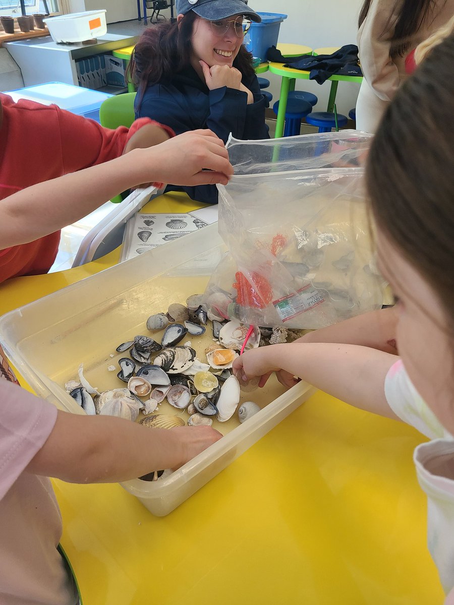 ColleenMehigan's tweet photo. Concluding our wonderful Coastal Habitats residency with @MassAudubon by analyzing sand, shells and marine debris. Thank you @HHSPTOLynnfield and @masscultural. 🔬 🐚 https://t.co/JntF0VaIiw