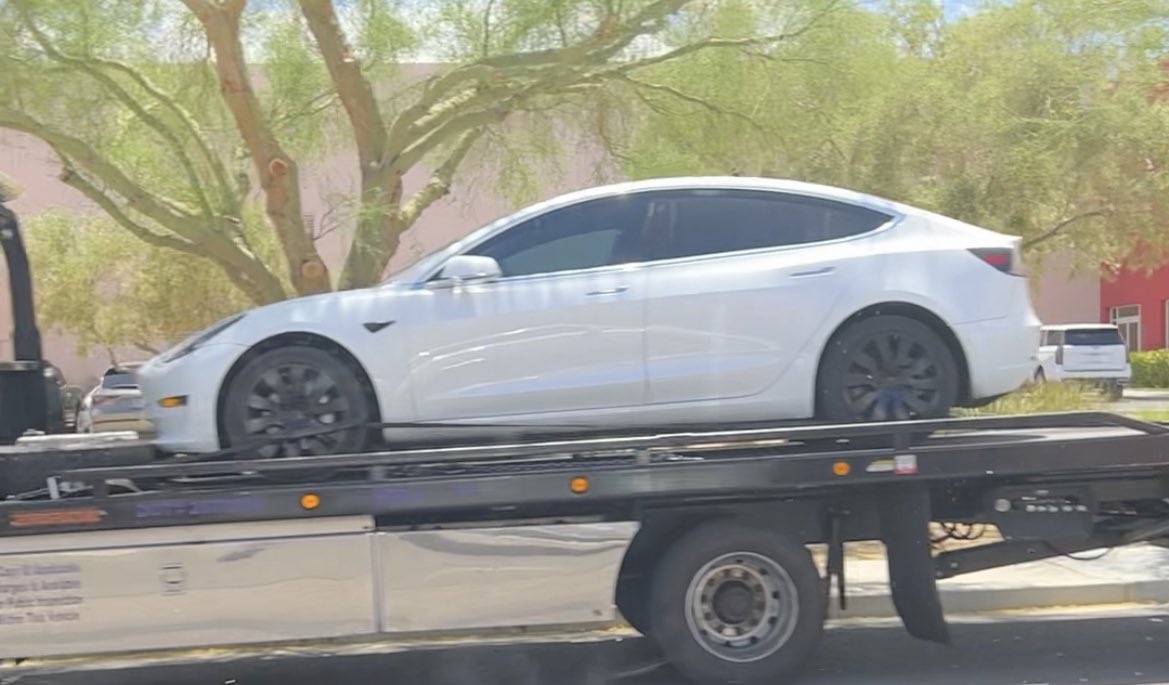 Jameskii tweet media