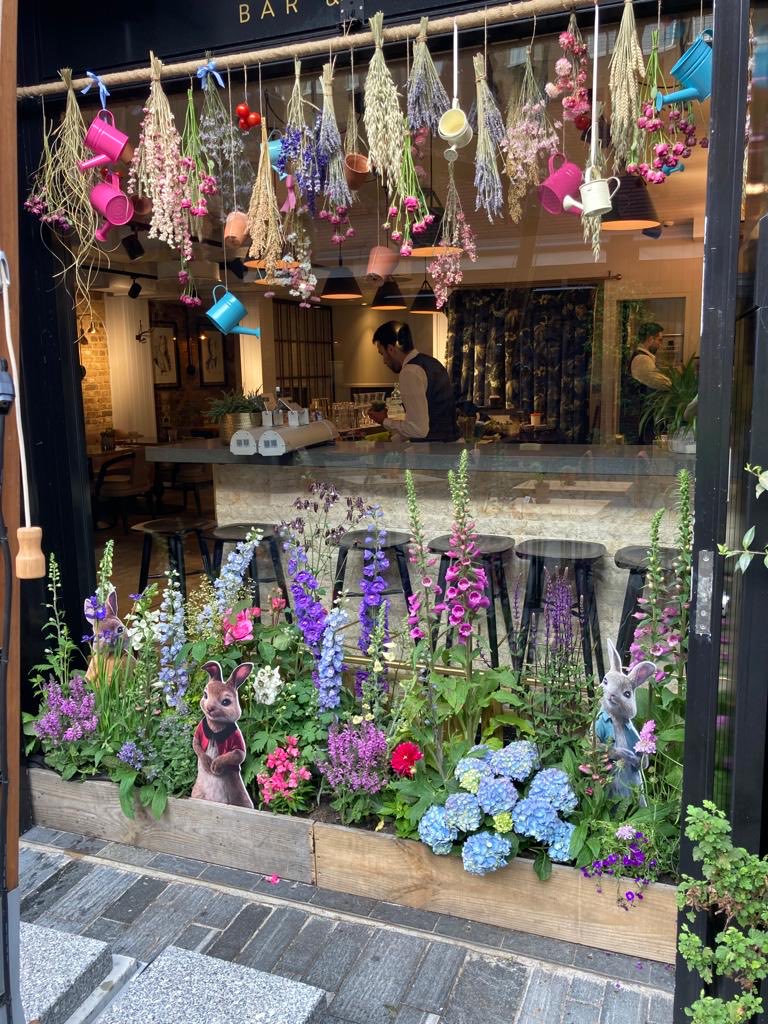 wazzo_m's tweet photo. Flowers do the talking #ChelseainBloom #RHS #Cadogan #Chelsea #Belgravia #Knightsbridge #Pimlico #FlowersinFilm Photos:DennisReed https://t.co/UahWAG29Jc