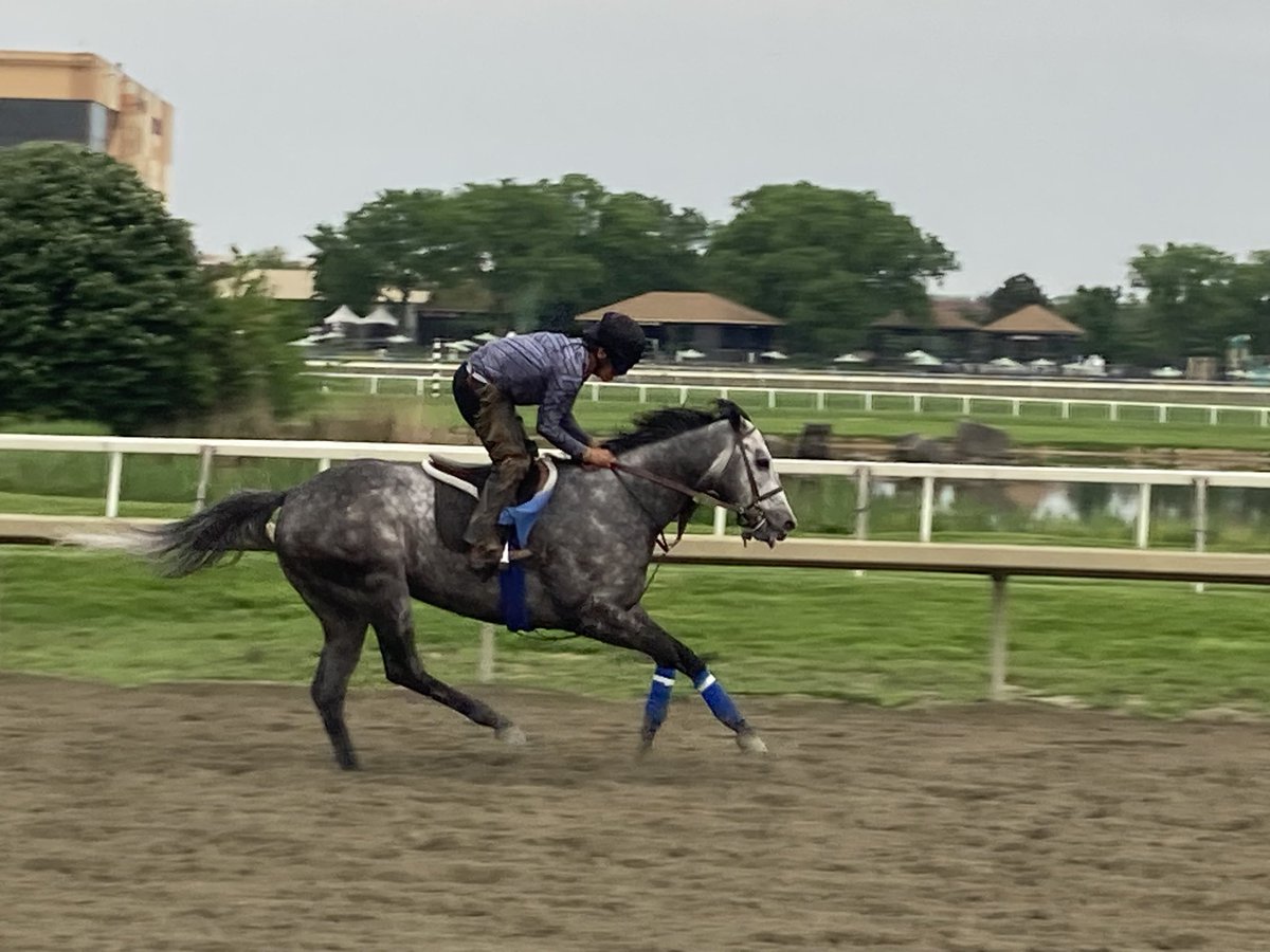 livipitch22's tweet photo. That’s right- the Gray 🚀 is back @PimlicoRC on Thursday running in Alw/Optional company with the “Lord of the Lawn” @VCarrasco28 piloting! Let’s Go! 🐎💨💨💨💨💨@ThePewterStable @PolitanoJim @PTHA17 #zyramid #cityzip #turfmonster https://t.co/2L0aqKwIrx