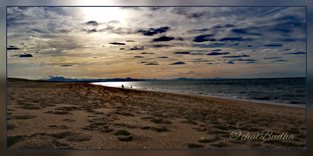 chatBudha's tweet image. Bonne nuit vous 😘
Je vous offre encore une de mes #specialités, une photo de MA plage 😁
 🙏✨💫
@1mot1photo #1mot1photo