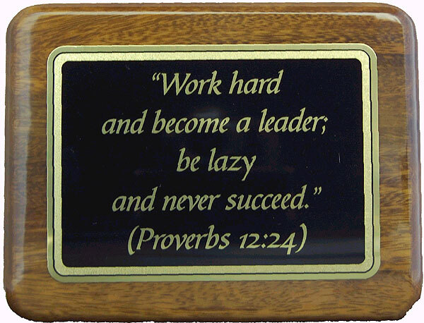 Work hard and become a leader; be lazy and never succeed | #bible #quote #charity