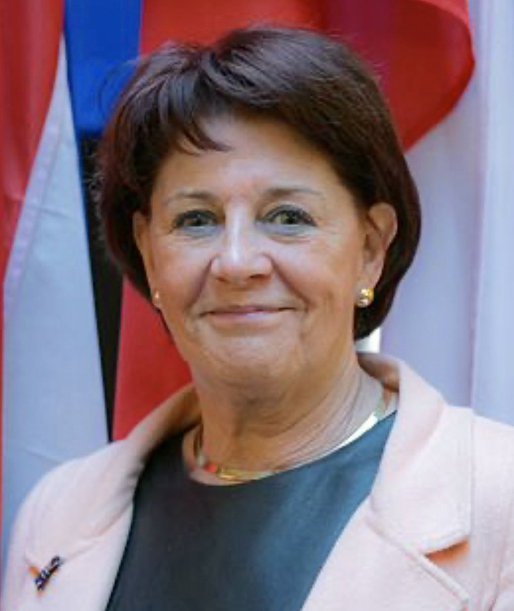 Ria Oomen-Ruijten, is #CDA woordvoerder #pensioenwet maar ook (goed betaald) bestuurder bij een pensioenfonds.
Is dat wel te combineren? #wpg #EersteKamer