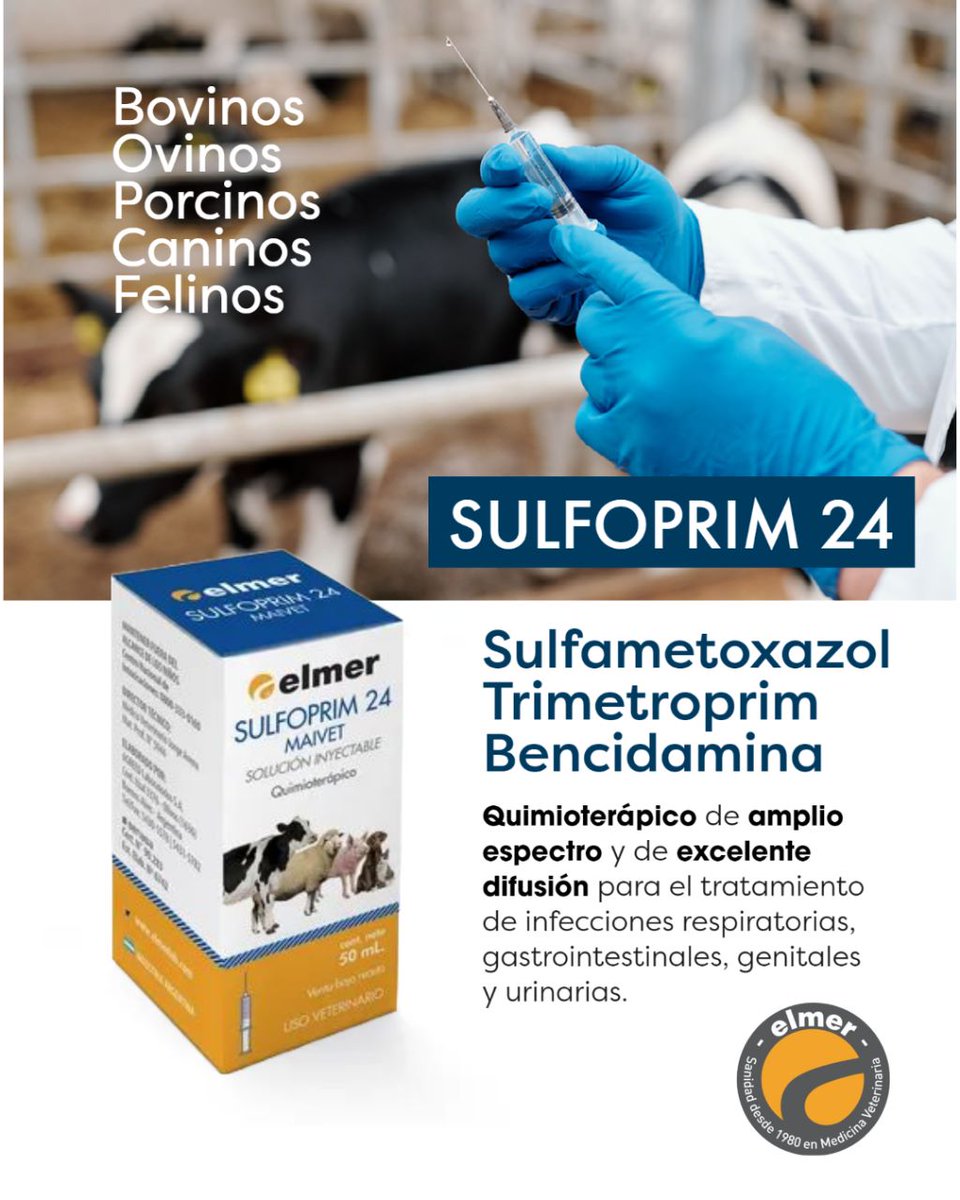 Elmer_Vet's tweet photo. Sulfoprim 24. 
Quimioterápico.
Solución inyectable.
Cont. neto: 50 mL
Bovinos, ovinos, porcinos, caninos y felinos.

https://t.co/4gSy6zuoOE

administracion@elmerlab.com

#LaboratorioElmer #MedicinaVeterinaria #Veterinaria  #quimioterápico #coccidios #neumonía #sulfoprim24 https://t.co/ku9b4fjshH