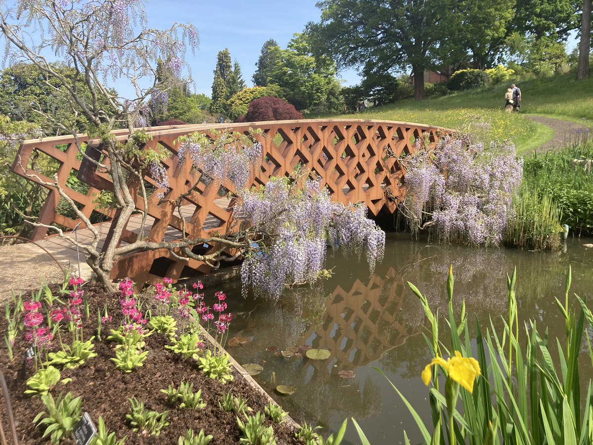 Wonderful Wisteria at @RHSWisley #WalkThisMay Lovely way to get those steps in! #Wellbeing