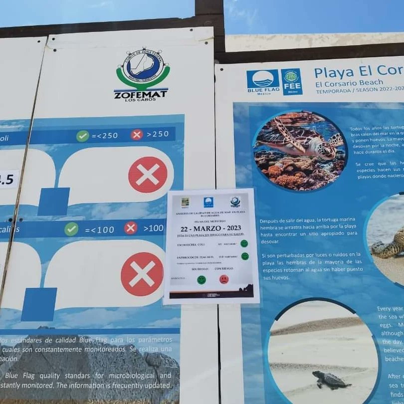 LosZofemat's tweet photo. Del monitoreo de calidad de agua tomado en playas del Municipio de los Cabos, a través de un laboratorio Estatal de la Secretaria de Salud del Gobierno del Estado, se determinó que el agua de mar no presenta riesgos para la salud.

#GobiernoConSentidoHumano 
#ZofematLosCabos https://t.co/wr8EVMEAhV