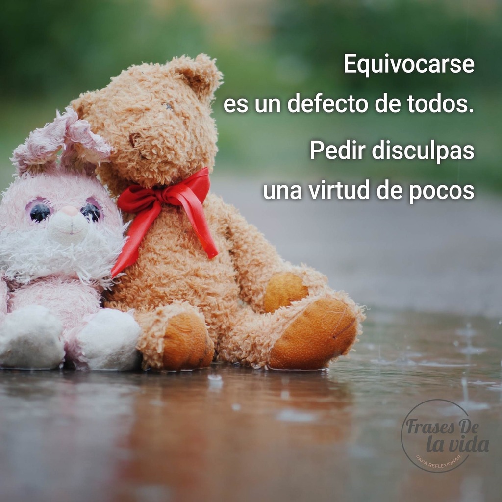 TusReflexionesP's tweet photo. Equivocarse es un defecto de todos. 
Pedir disculpas una virtud de pocos 

https://t.co/AOAptdFDFl  #frases #reflexiones #unsabiodijo https://t.co/zh4sunMBiG
