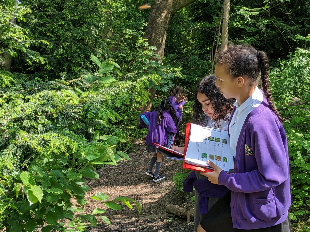 MrMarshallclass's tweet photo. Y5 @shireoakce have taken the green from 'Green Week' to heart today by spending time at @UniversityLeeds North Hill Well Wood. An oasis of nature on our doorstep. #natureconservation #ClimateEmergency https://t.co/wM3y115GuN