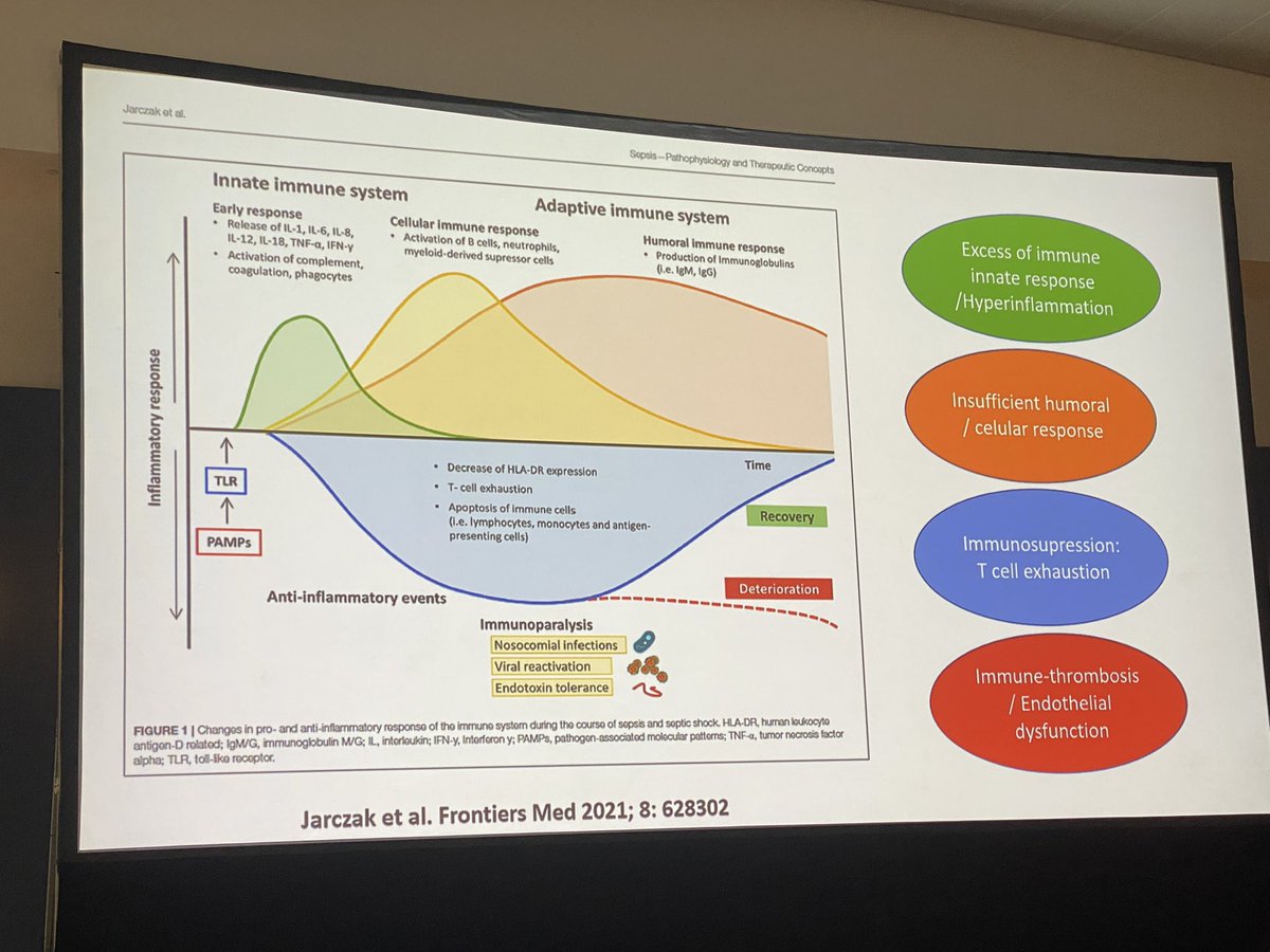 Outstanding presentation in the most important workwide pneumonia symposium right now #ATS2023 Congrats <a href="/RosarioMenend12/">Rosario Menendez</a> <a href="/SeparRespira/">SeparRespira</a> <a href="/IISLaFe/">IIS La Fe</a>