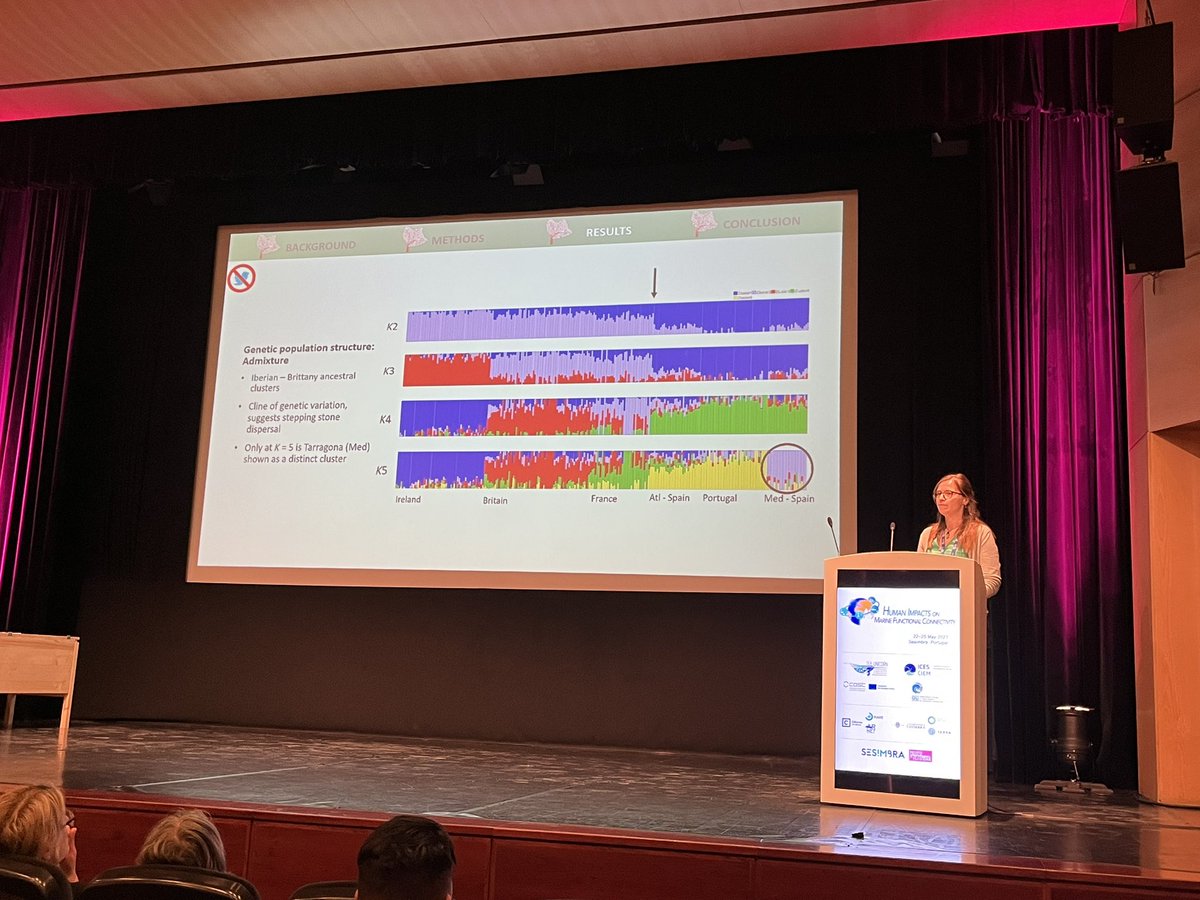 KMac, aka Kirsty Macleod delivers the definitive word on genetic connectivity in pink sea fan! Great job!!! (even managed to work in reference to TJenks’ Eunicella range expansion paper!). Fab!
#ImpactsMFC <a href="/Tom__Jenkins/">Tom Jenkins</a>