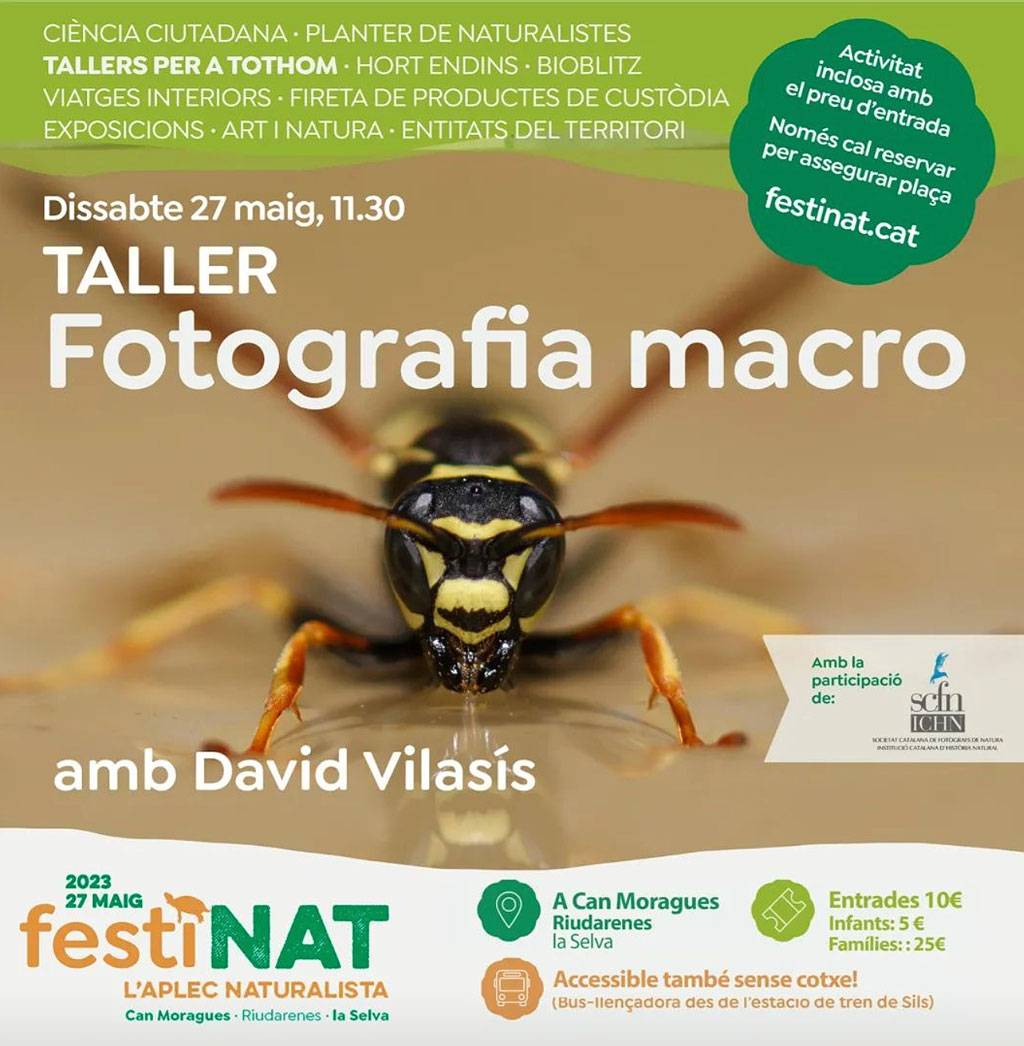 Aquest dissabte al FestiNAT faré una petita introducció al mont de la fotografia d'aproximació. 
festinat.cat