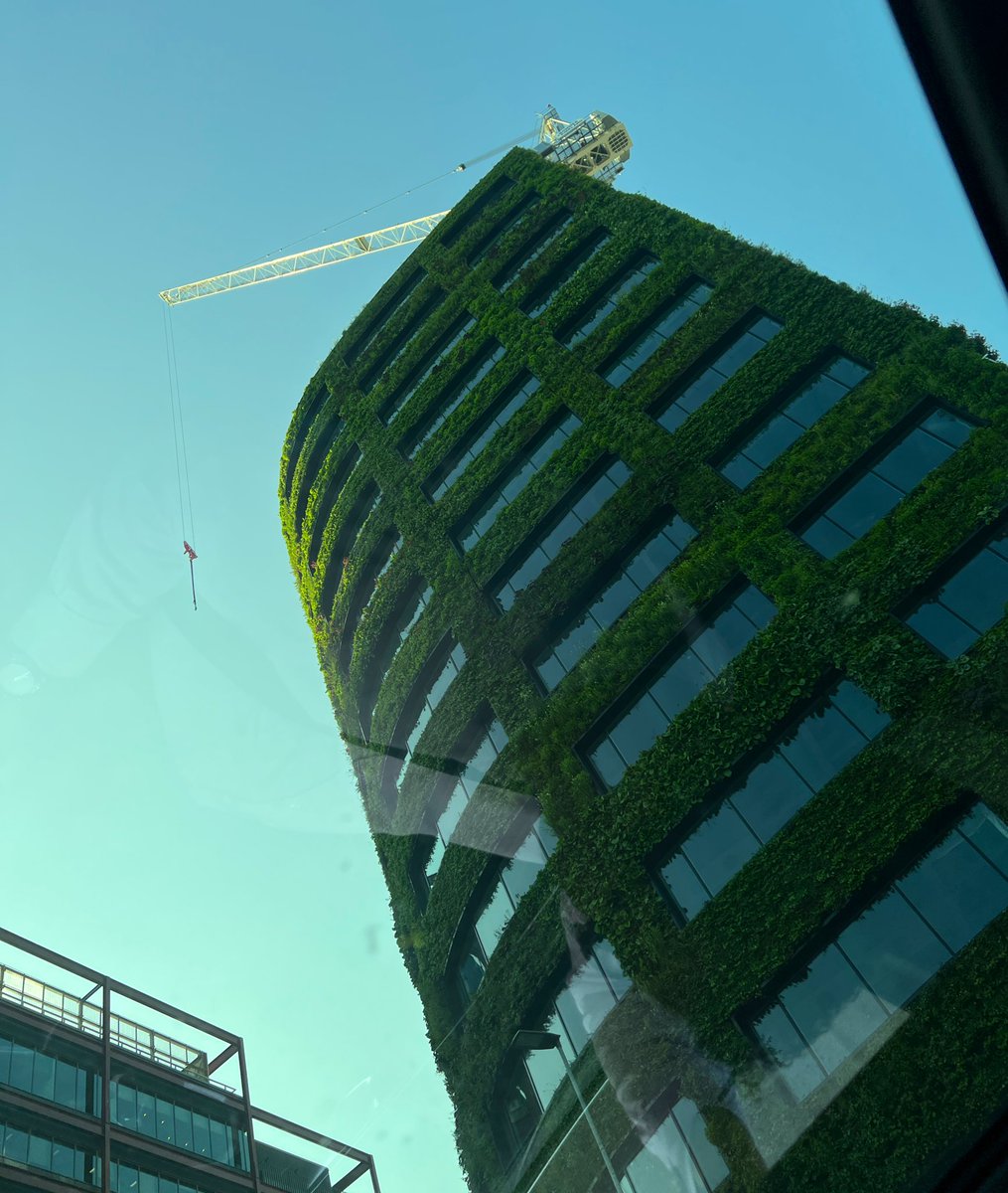 My early morning view through my car sun roof. I loved working on this project: and now I enjoy watching it (literally)grow everyday. @EdenNewBailey @SalfordCouncil #Salford #carshare with @RichardAPaxton