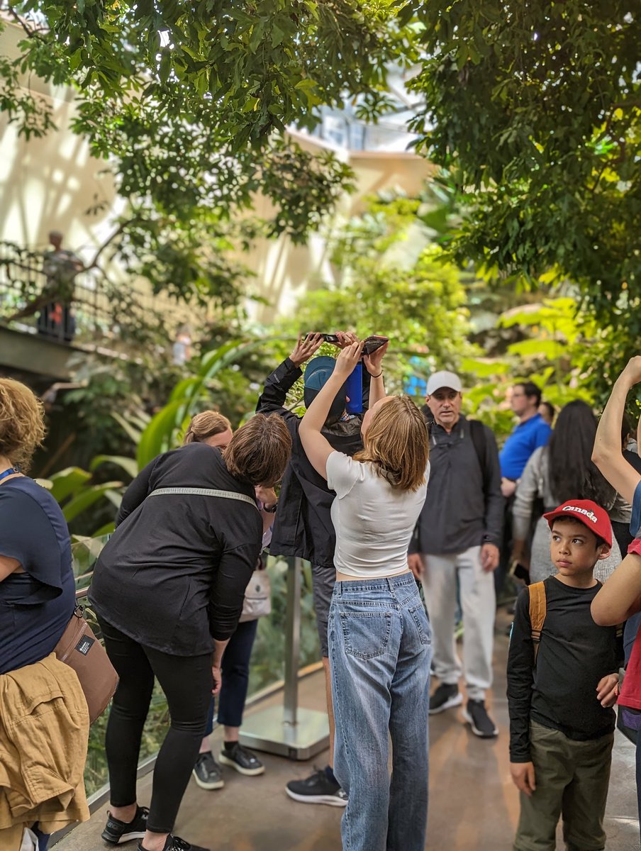 Dan Marchand tweet media