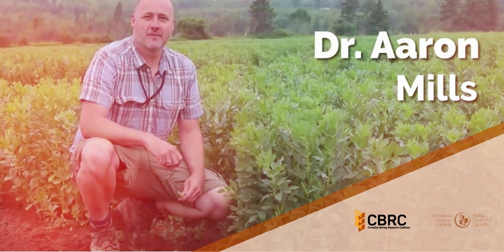 barley_research's tweet photo. Major gains are being made in the barley industry! Listen to Dr. Aaron Mills discuss the influence of preceding legumes and nitrogen management in the #BarleyCluster activity he is co-leading. https://t.co/7BlNS5g9qu #BarleyResearch #CdnAg #FundedByFarmers https://t.co/X86tNPtcVv
