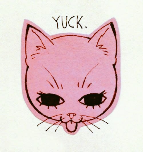 𑄽𑄺 (quit) tweet media