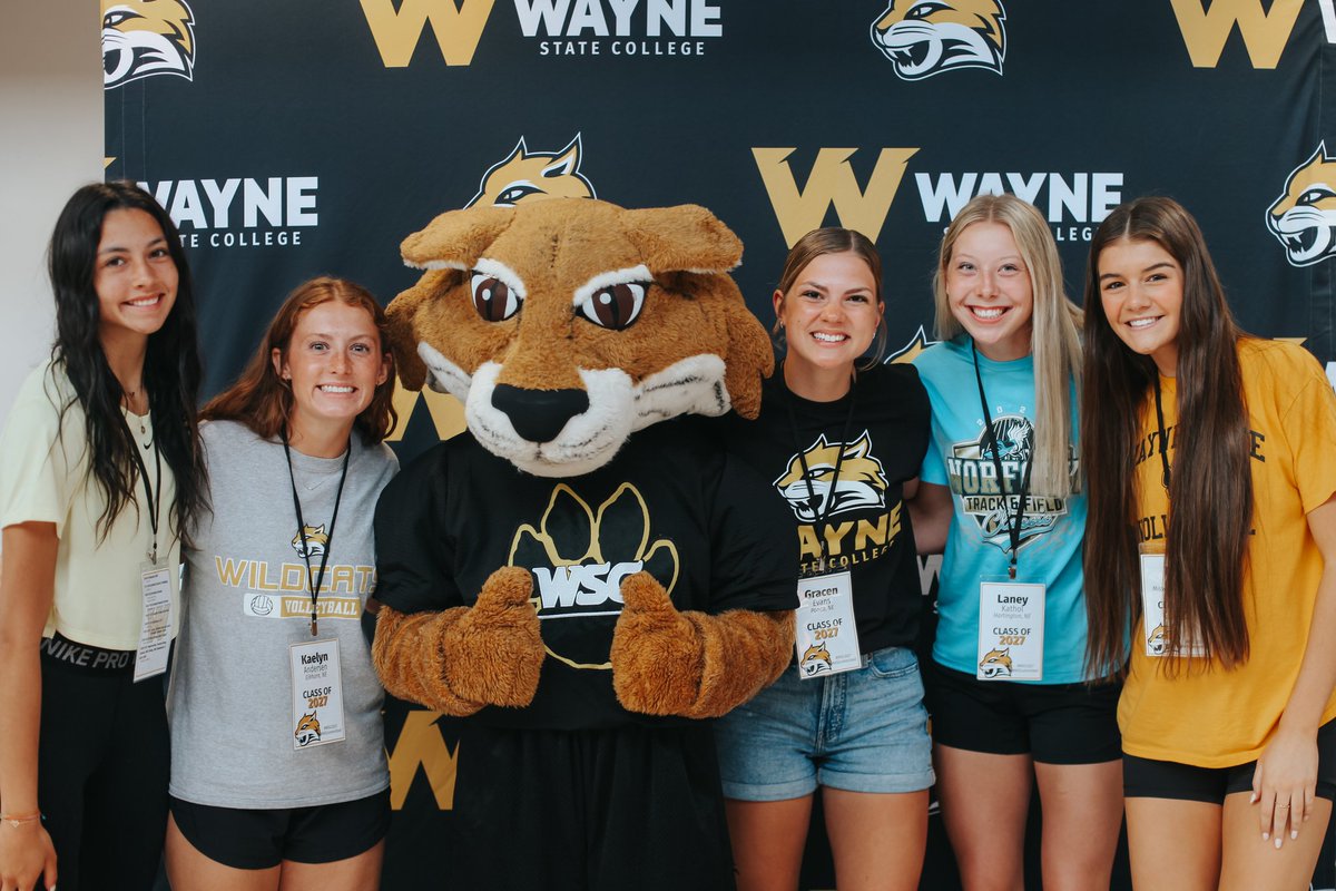 These Cats are OFFICIALLY registered!✔️ Pumped to get them here this fall!