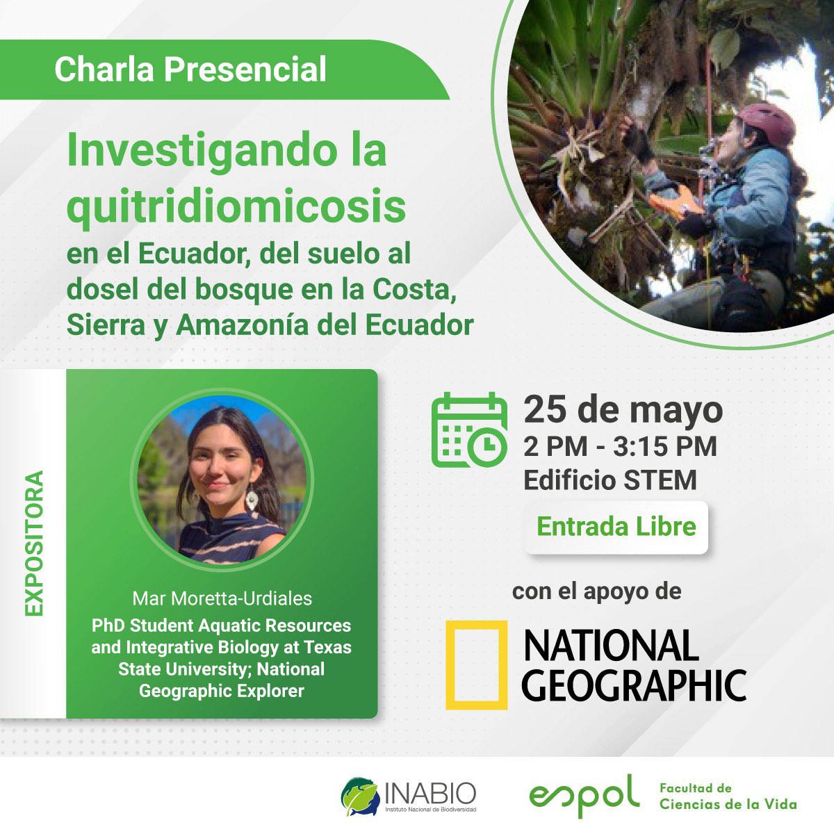 KevinMindii's tweet image. Como un hongo puede afectar la biodiversidad de anfibios del Ecuador?
Junto a @espol el CTC @INABIO_EC invitan a conocer más sobre la quitridiomicosis en anfibios del dosel en bosques de la Costa, Sierra y Amazonia 🐸🧫🍄🔬.
@anuradelmar #NatGeo explorer nos brindará más detalles
