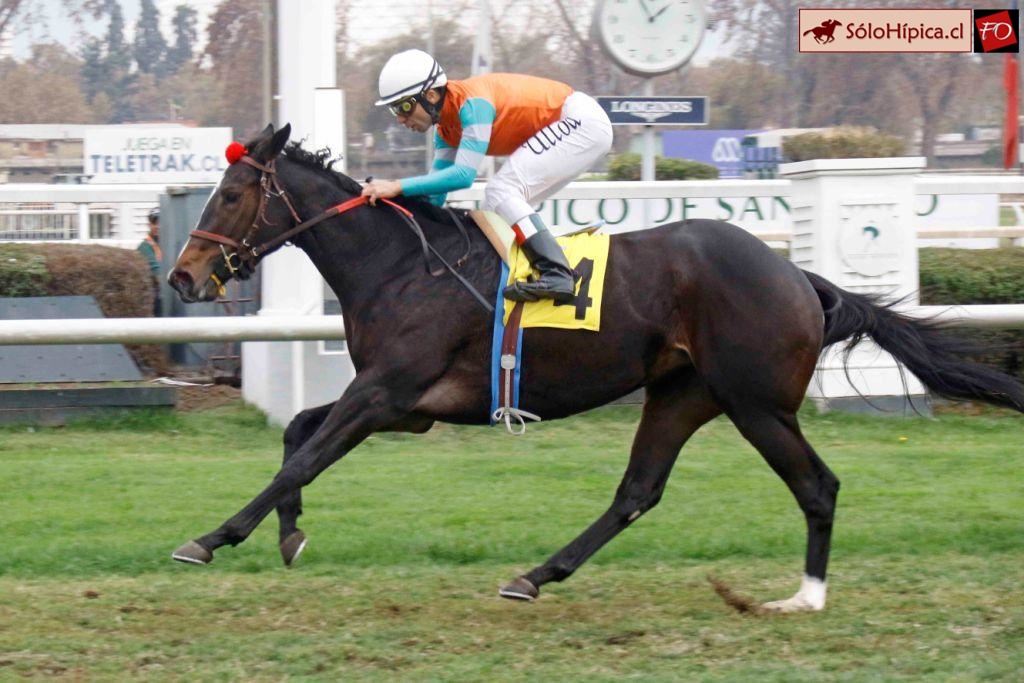 solohipica's tweet image. ELECTRIC LIGHT (Lookin At Lucky) Ganadora Clásico "Carlos Campino" 1800m. Lunes 22-Mayo Club Hípico Santiago. HARAS DON ALBERTO Preparador PATRICIO BAEZA Jinete OSCAR ULLOA #solohipica #ElectricLight #LookinAtLucky #HarasDonAlberto #PatricioBaeza #OscarUlloa #ClubHípicoSantiago