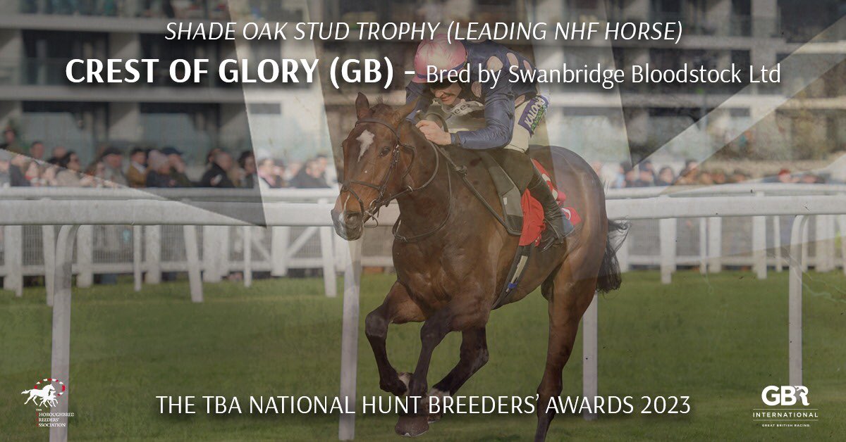 A 15-length romp in the @GoffsUK Spring Sale Bumper was enough to earn CREST OF GLORY (GB) the Leading NHF Horse trophy at @TheTBA_GB National Hunt Breeders' Awards.

Bred by @sbbloodstock, the four-year-old looks like a very exciting prospect for @AJHoneyball & @CrestRacing1. 🤩