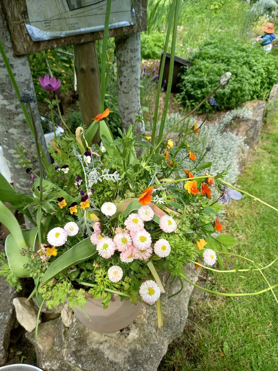 FerrazSmith's tweet photo. a beautiful afternoon @BridewellGarden 🌳 Open Day 🤗🌱🌷🍃🪷 #Flowers 💐#pond 🪷 #pansies 💜🤍💛 #sunshine 🌞#bluesky #SunnyDay 💛 https://t.co/ZG13mCaEZV
