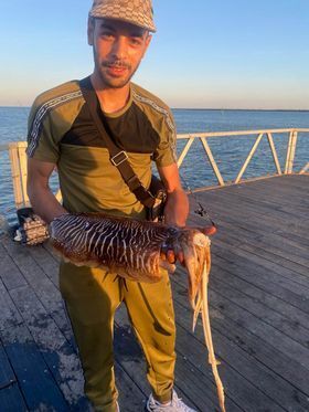 Pesca Huelva tweet media