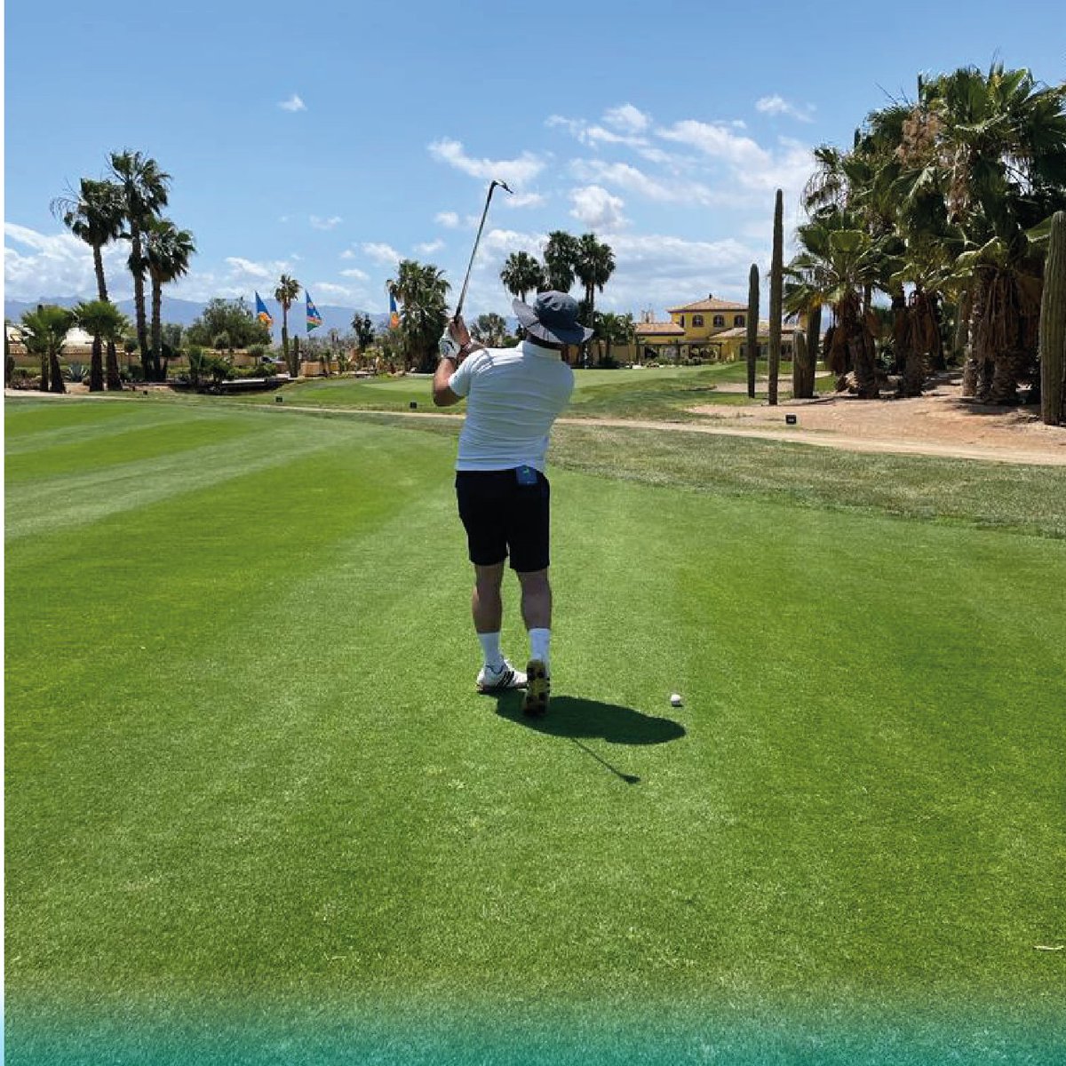 WhiteFlakesCo's tweet photo. 🏌️‍♂️ ARIZONA TOUR 🏌️‍♂️ https://t.co/EIYdnDfm7V