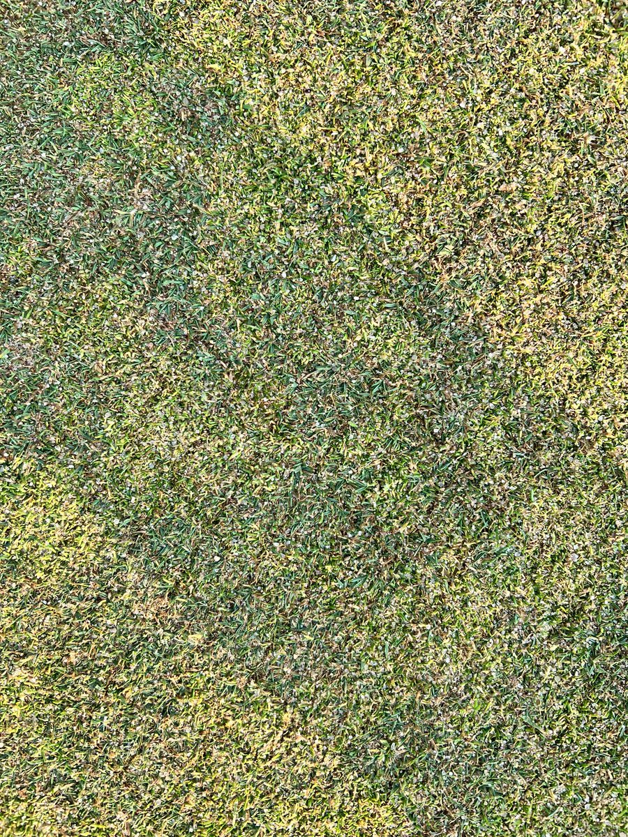 Cody Laux tweet media