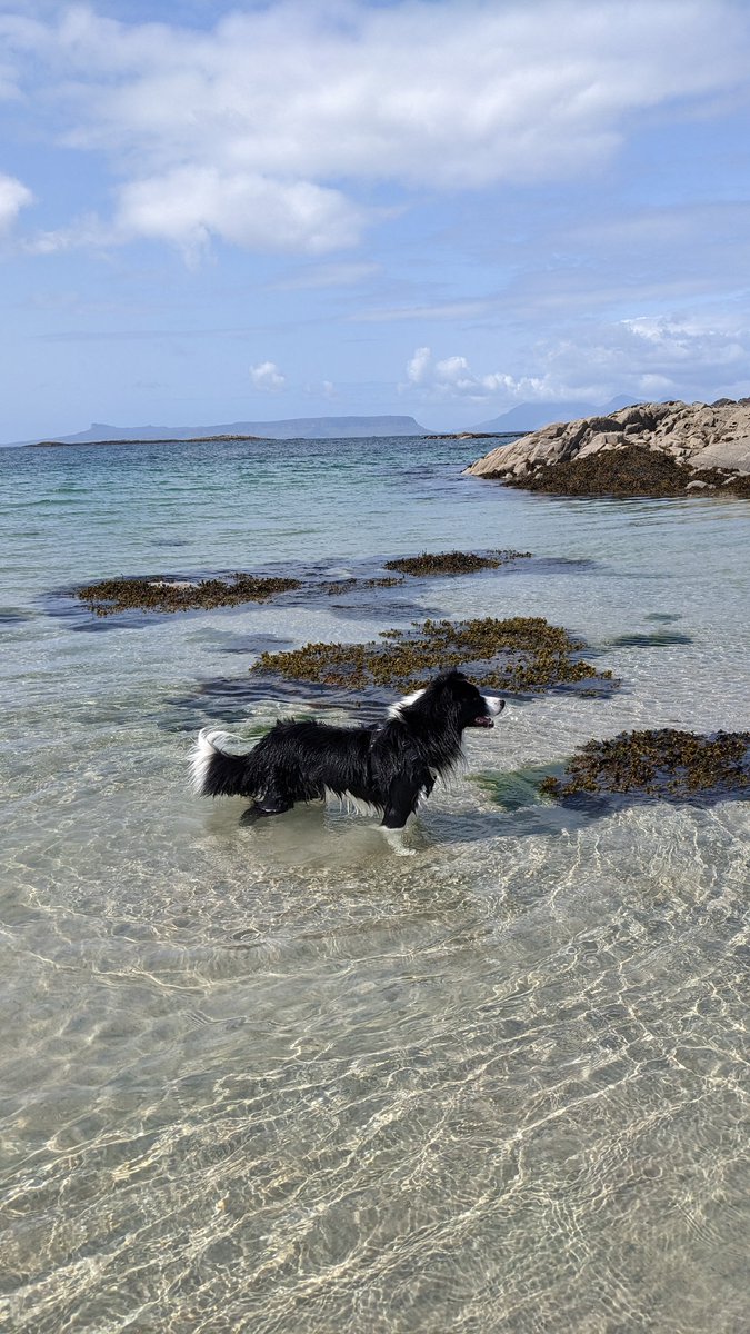 Beautiful Camuscaradach beach #scotland