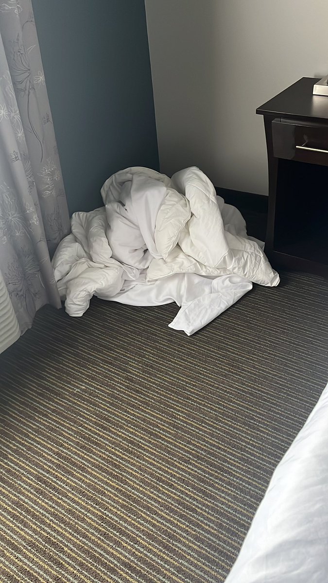 Ed Mapes on Twitter "So when I get a hotel room. I throw the comforter