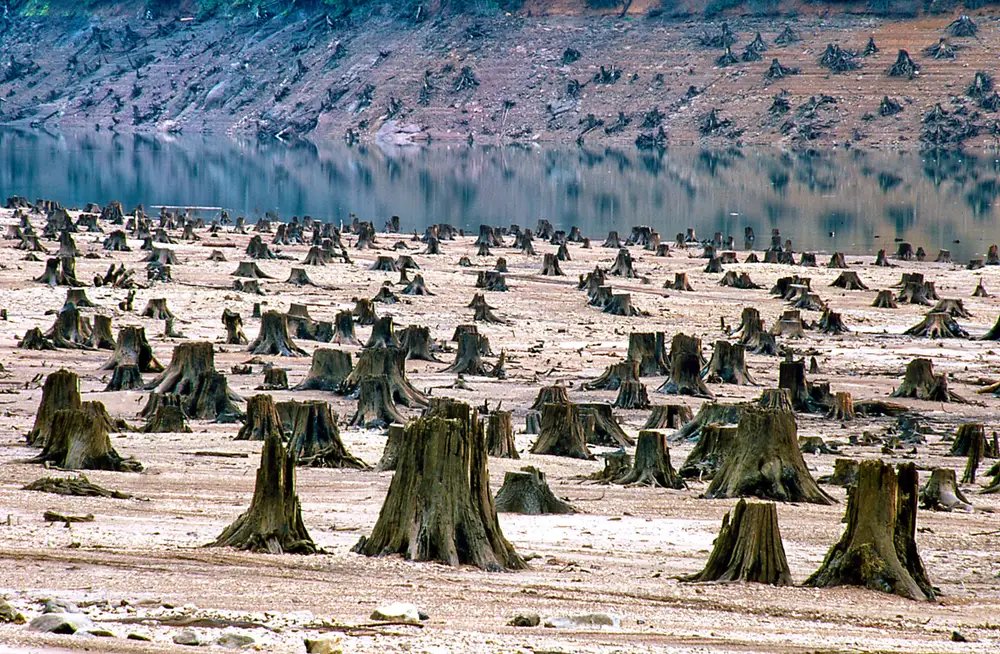 EchoesofthePas1's tweet photo. We take from this planet as if its natural resources were infinite...as if we could move to another one any time we'd like. https://t.co/XYdRAmS1ry