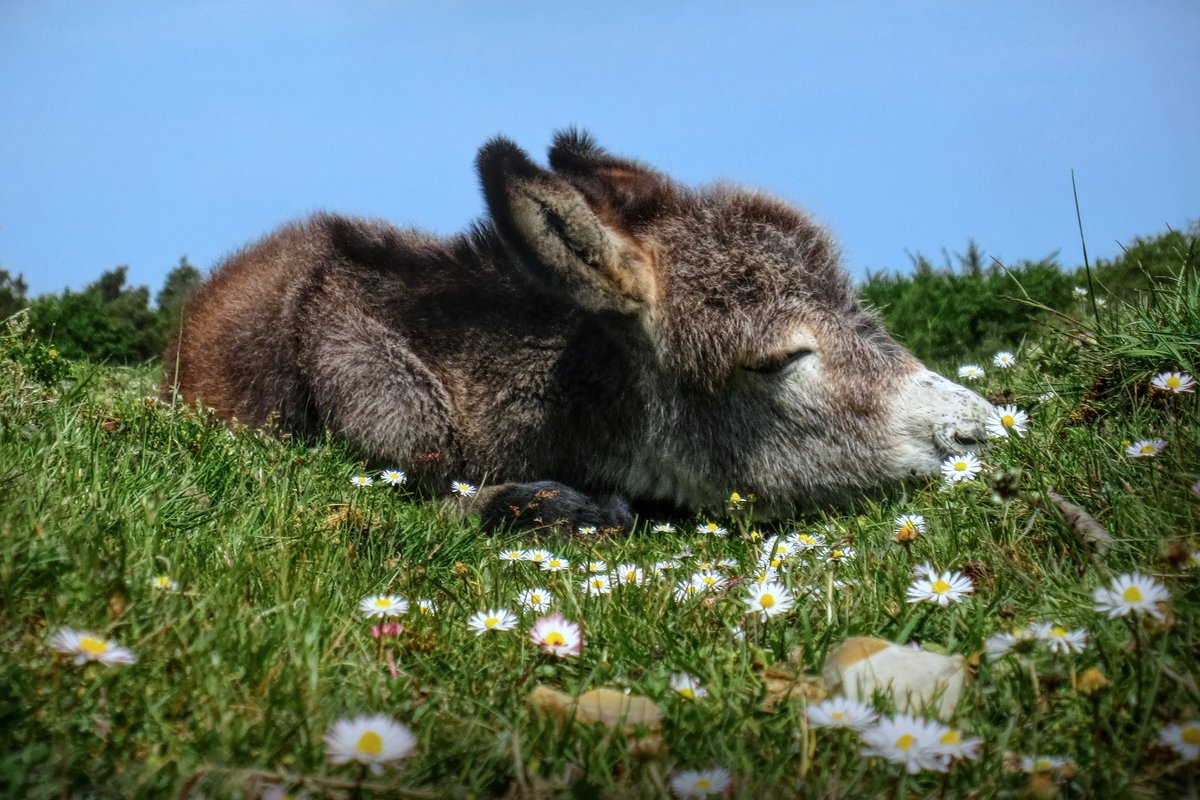 Colin Lee tweet media